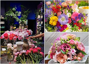 Blumen-Koch Berlin image Blumen-Koch Berlin