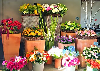 Blumen Kronenberg image Blumen Kronenberg