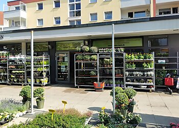 Blumen Kuck photo Blumen Kuck