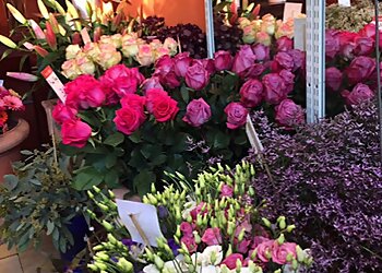 Blumen Maaß photo Blumen Maaß