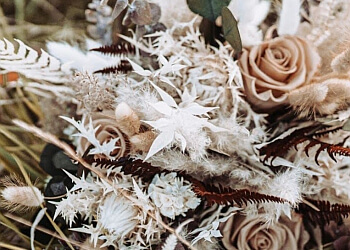 Blumen Matzke photo Blumen Matzke