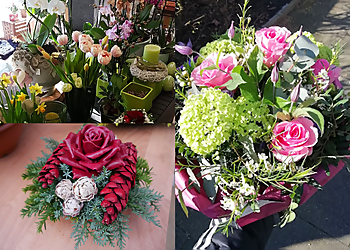 Blumen Menke image Blumen Menke