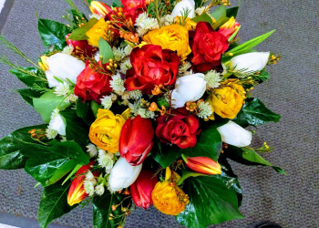 Blumen Rita image Blumen Rita