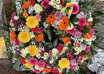 Blumen Schmohr photo Blumen Schmohr