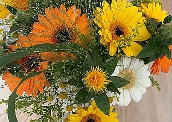 Blumen Schmohr image Blumen Schmohr