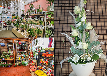 Blumen Spangenberg GmbH image Blumen Spangenberg GmbH