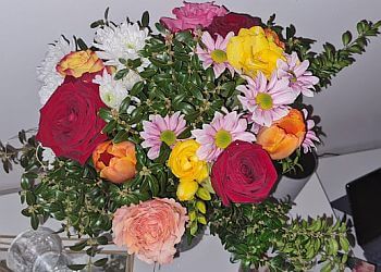 Blumen Steinauer image Blumen Steinauer