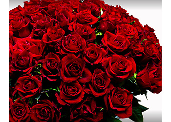 BlumenStudio Kolberger photo BlumenStudio Kolberger