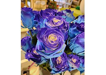 Blumen Sydow image Blumen Sydow