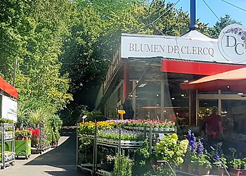 Blumen de Clercq GmbH photo Blumen de Clercq GmbH