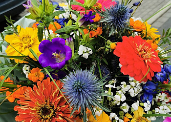 Blumenhaus Buhle image Blumenhaus Buhle