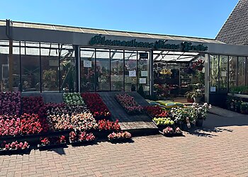 Blumenhaus Grube photo Blumenhaus Grube