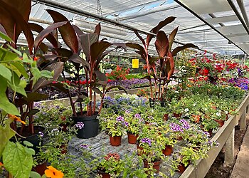 Blumenhaus Grube image Blumenhaus Grube