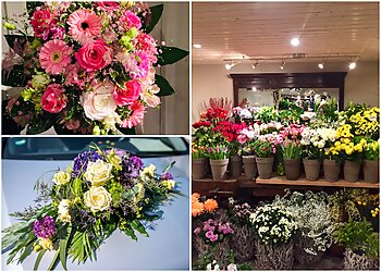 Blumenhaus Inge image Blumenhaus Inge