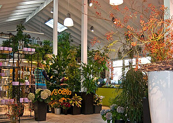 Die 3 besten Blumenläden in Wuppertal Expertenempfehlungen