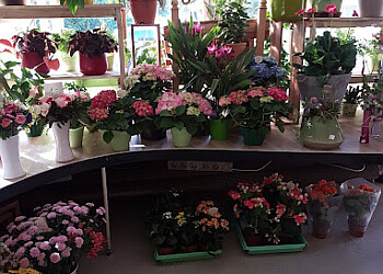 Blumenhaus Marotzke image Blumenhaus Marotzke