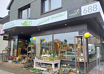 Blumenhaus Obermeier photo Blumenhaus Obermeier