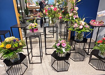 Blumenhaus Obermeier image Blumenhaus Obermeier