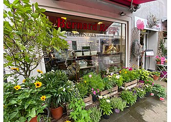 Blumenhaus Rogge photo Blumenhaus Rogge