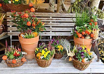 Blumenhaus Rosenberg GmbH image Blumenhaus Rosenberg GmbH