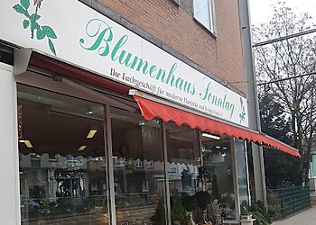 Blumenhaus Sonntag photo Blumenhaus Sonntag