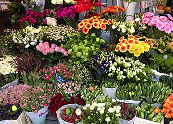 Blumenhaus Sonntag image Blumenhaus Sonntag