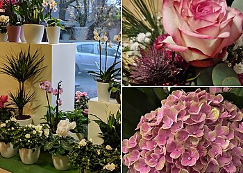 Blumenhaus Tadema Leifeld image Blumenhaus Tadema Leifeld