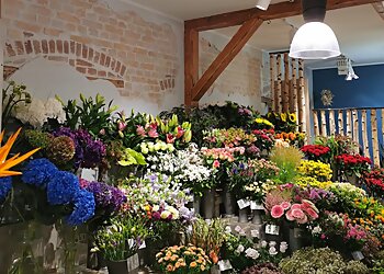 Blumenhaus Zeising image Blumenhaus Zeising