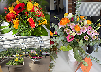 Blumenhof Bieniek GmbH image Blumenhof Bieniek GmbH