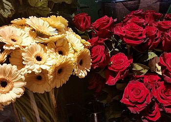 Blumenhof Borgstedt image Blumenhof Borgstedt