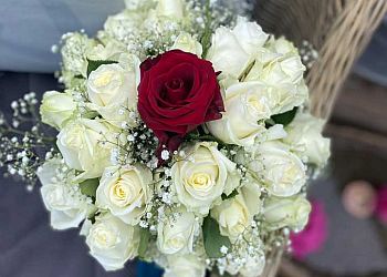 Blumenhof Kehr photo Blumenhof Kehr