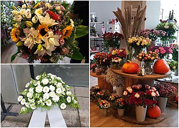 Blumenladen Pusteblume image Blumenladen Pusteblume