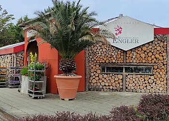 Blumenland Engler GmbH photo Blumenland Engler GmbH