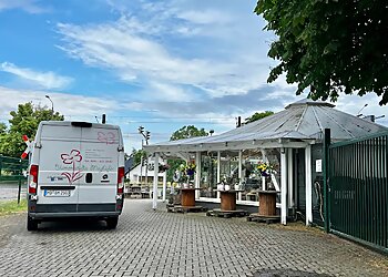 Blumenstudio Meyhöfer photo Blumenstudio Meyhöfer