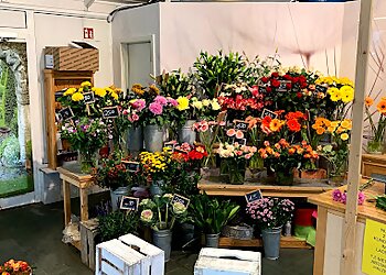 Blumenstudio Meyhöfer image Blumenstudio Meyhöfer