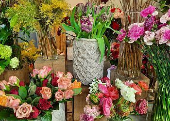 Blütenreich image Blütenreich