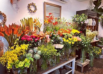 Blütenträume photo Blütenträume