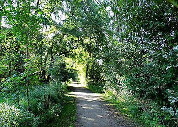 Boberger Niederung image Boberger Niederung