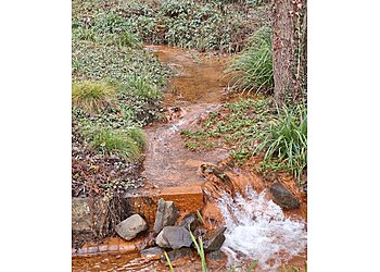 Botanischer Garten Rombergpark image Botanischer Garten Rombergpark