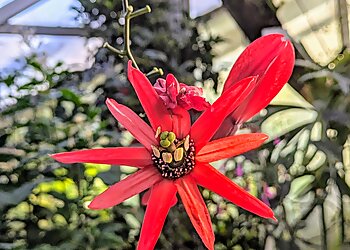 Botanischer Garten und Botanisches Museum Berlin photo Botanischer Garten und Botanisches Museum Berlin