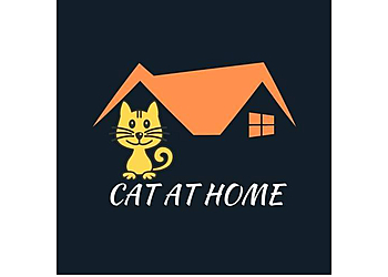 CAT AT HOME image CAT AT HOME