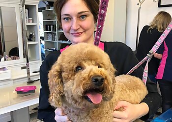 Canis Beauty photo Canis Beauty