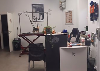 Carnis Hundewelt photo Carnis Hundewelt