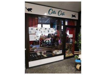 Cats Café Karlsruhe