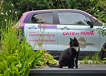 Cats at Home-Mobile Kleintierbetreuung Cats at Home-Mobile Kleintierbetreuung
