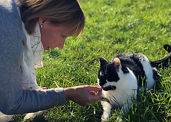 Catsitting Bremen-mobile Katzenbetreuung Catsitting Bremen-mobile Katzenbetreuung
