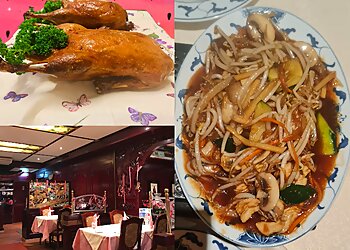 China-Restaurant China City image China-Restaurant China City