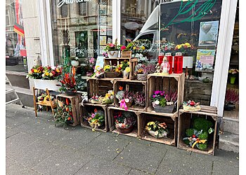 Claudias Blumenstube photo Claudias Blumenstube