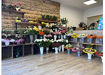 Claudias Blumenstube image Claudias Blumenstube