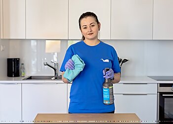 CleanWhale photo CleanWhale